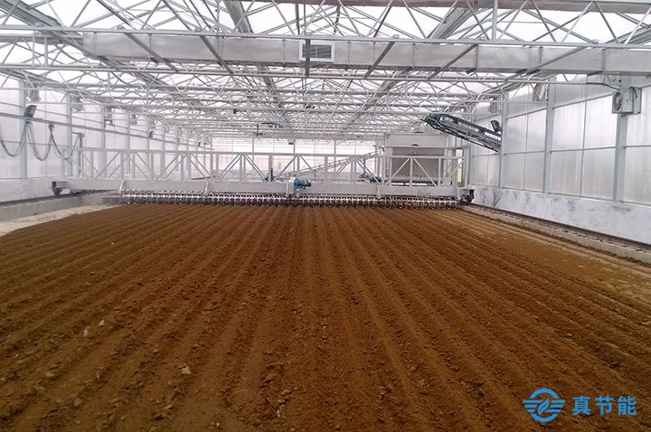 太陽(yáng)能污泥干化裝置